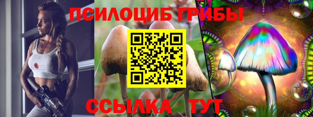 Псилоцибиновые грибы ЛСД Обнинск