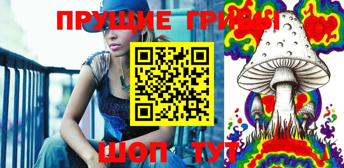 Галлюциногенные грибы Psilocybe  Вход с VPN  Обнинск 